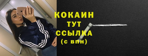 дживик Майский