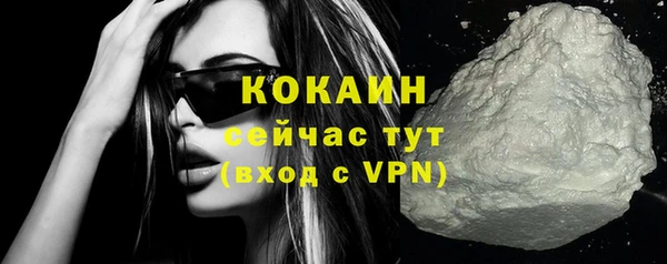 дживик Майский