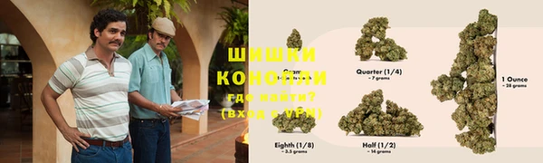 дживик Майский