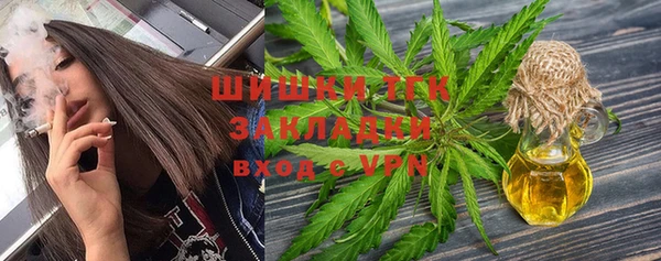 дживик Майский