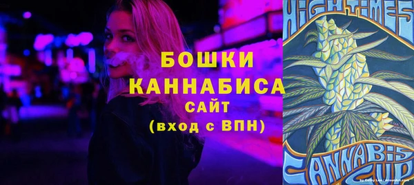 дживик Майский